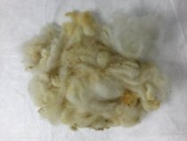 A: Scoured Wool
B: Raw Wool
